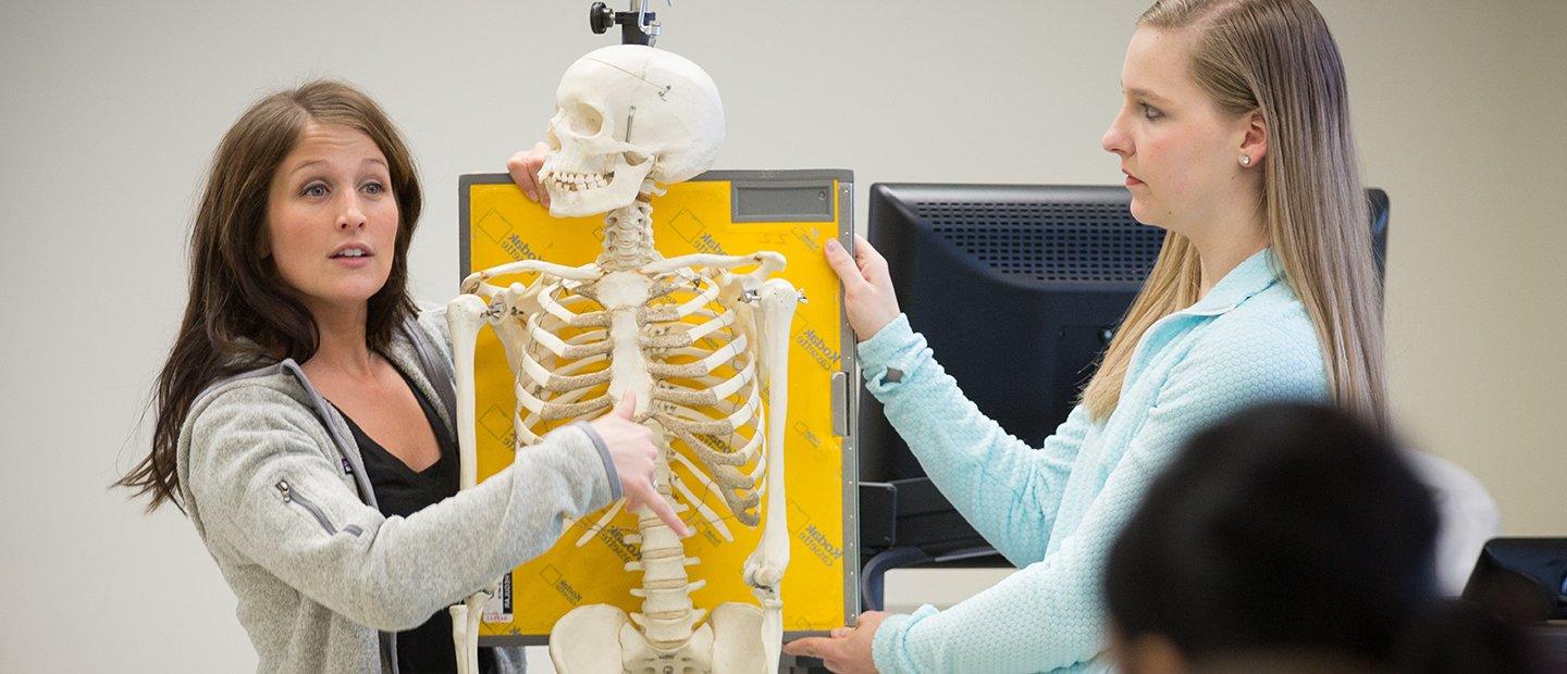 Two women holding a model skeleton in front of a class